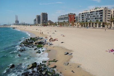 Les platges, del Cristall-Barca Maria i les del tram del nou passeig Marítim de Badalona tornaran aconseguir el reconeixement Bandera Blava aquest estiu.