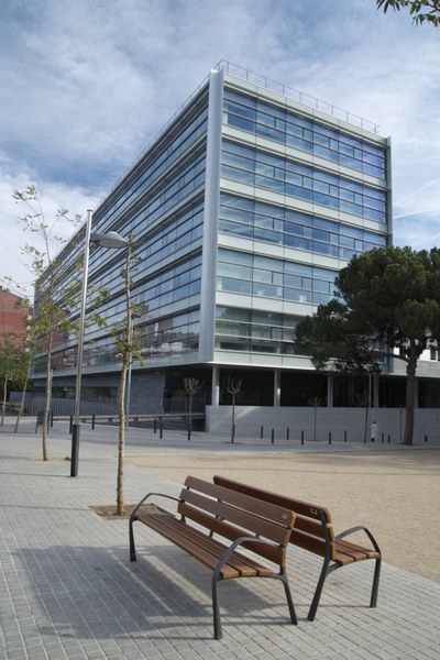 L’Ajuntament de Badalona oferirà al seu personal formació per evitar l’ús de llenguatge sexista.