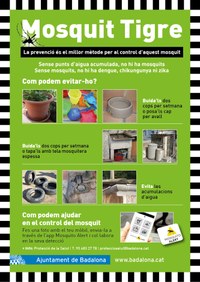 L’Ajuntament posa en marxa la campanya de prevenció del mosquit tigre