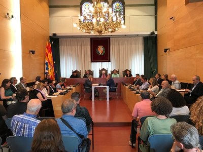 El Ple de l’Ajuntament aprova una declaració institucional de rebuig i condemna per l’assassinat d’una veïna de Badalona a causa d’un acte de violència masclista.
