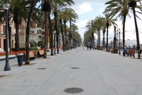 Badalona tornarà a celebrar la Fira de la Solidaritat amb l’impuls del Consell Municipal de Solidaritat i Cooperació