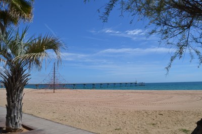 Aquest dimecres comencen els treballs de reperfilat de la sorra de les platges de Badalona per disminuir el desnivell i millorar l’accessibilitat.