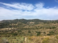 Badalona aprova un Pla de Prevenció d'Incendis Forestals que cobrirà el període 2025-2030