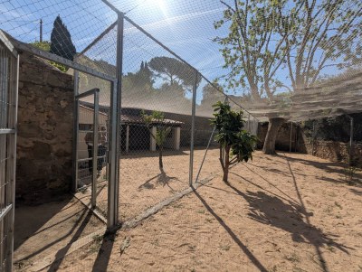 Imatge de la gatera municipal de Badalona.