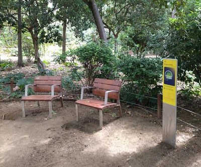 Els parcs també esdevenen refugis climàtics.