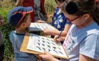 Badalona participa en la 8a edició del Bioblitz Metropolità amb dues activitats aquest diumenge als parcs de Can Solei i de Ca l'Arnús i del Torrent de la Font i el Turó de l'Enric