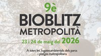Badalona participa en la 9a edició del Bioblitz Metropolità amb activitats aquest diumenge a la Jugatecambiental del parc de Can Solei i de Ca l'Arnús i del parc del Torrent de la Font i el Turó de l'Enric