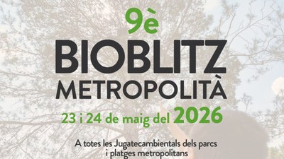 Badalona participa en la 9a edició del Bioblitz Metropolità amb activitats aquest diumenge a la Jugatecambiental del parc de Can Solei i de Ca l'Arnús i del parc del Torrent de la Font i el Turó de l'Enric.