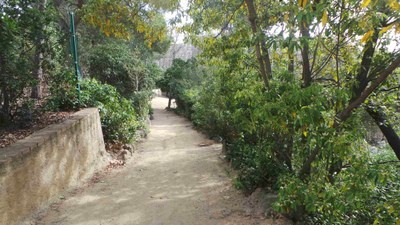 El parc de Can Solei i de Ca l’Arnús acull aquest divendres la Badaorientació, una activitat del Badasport.