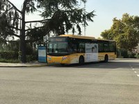 Els cementiris de Badalona amplien els seus horaris per la diada de Tots Sants i el transport públic reforça els seus serveis