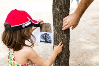 La Jugatecambiental de l’AMB i de l’Ajuntament de Badalona proposa per aquest diumenge dues activitats per conèixer la natura dels parcs de la ciutat