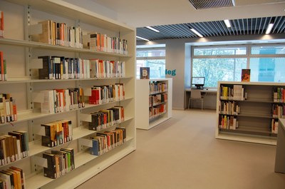 Detall Biblioteca Canyadó i Casagemes - Joan Argenté.