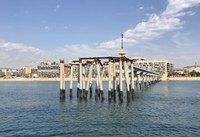 L’Ajuntament de Badalona aconsegueix l’últim informe favorable que faltava del Ministeri per a la Transició Ecològica per licitar les obres del pont del Petroli