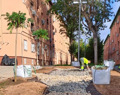 L’Ajuntament de Badalona crea al barri de Pomar el primer jardí de pluja.