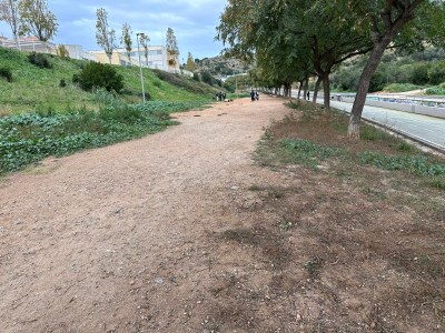 L’Ajuntament de Badalona crea al parc del Torrent de la Font i del Turó de l’Enric la primera gran àrea d’esbarjo per a gossos a la ciutat.