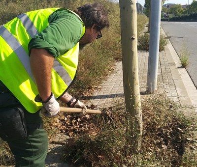 En el programa s'inclou tasques de suport al manteniment dels espais públics.