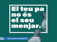 L’Ajuntament de Badalona impulsa una campanya per evitar que s’alimentin els coloms i frenar la superpoblació d’aquests animals