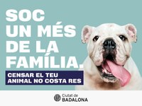 L’Ajuntament de Badalona impulsa una campanya per promoure el cens d’animals de companyia i l’obtenció de llicències per tenir gossos de races potencialment perilloses