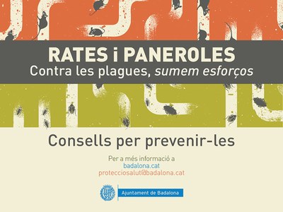 L’Ajuntament de Badalona posa en marxa la campanya “Contra les plagues, sumem esforços” per combatre la proliferació de rates i paneroles.