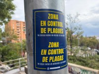 L’Ajuntament de Badalona reforça les actuacions de control de rates i paneroles a la ciutat