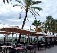 L’Ajuntament de Badalona talarà 25 palmeres a la Rambla i al carrer de Santa Madrona perquè es troben malaltes i suposen un perill per a la ciutadania