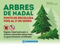 L’Ajuntament instal·la 13 punts especials per a la recollida d’arbres de Nadal