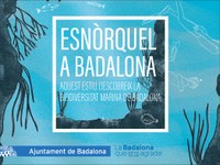 L’Ajuntament ofereix gratuïtament aquest estiu sortides guiades d’esnòrquel a les platges de Badalona