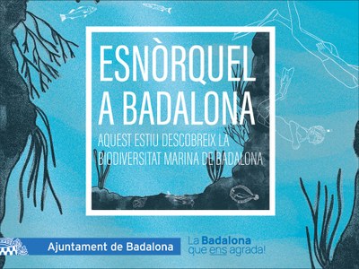 L’Ajuntament ofereix gratuïtament aquest estiu sortides guiades d’esnòrquel a les platges de Badalona.