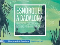 L’Ajuntament ofereix sortides guiades d’esnòrquel a les platges de Badalona