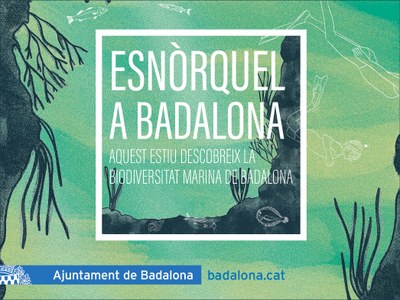 L’Ajuntament ofereix sortides guiades d’esnòrquel a les platges de Badalona.