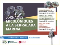 Les Jornades Micològiques de la Serralada de Marina presenten a Badalona tres activitats relacionades amb el món dels bolets
