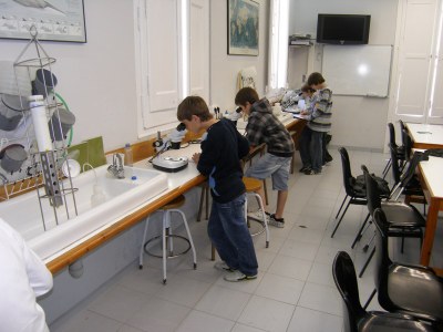 L’Escola del Mar acull aquest diumenge un taller gratuït per descobrir i conèixer què és el plàncton i quina importància té en els ecosistemes marins.