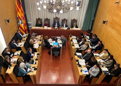 Resum dels acords del Ple de l’Ajuntament de Badalona del 2 de desembre de 2024.