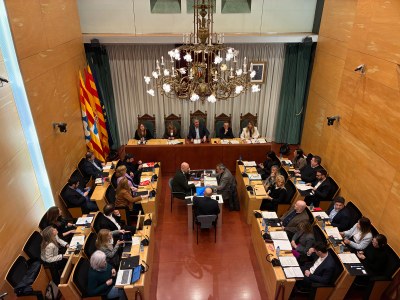 Resum dels acords del Ple de l’Ajuntament de Badalona del 2 de març de 2026.