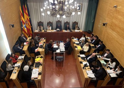 Resum dels acords del Ple de l’Ajuntament de Badalona del 3 de febrer de 2025.