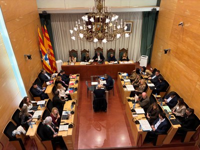 Resum dels acords del Ple de l’Ajuntament de Badalona del 3 de novembre de 2025.