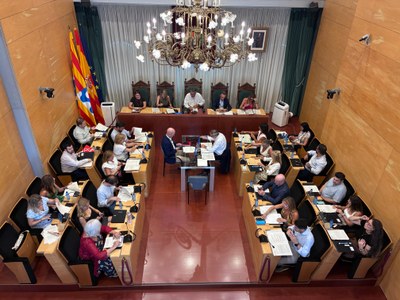 Resum dels acords del Ple de l’Ajuntament de Badalona del 6 de juliol del 2026.