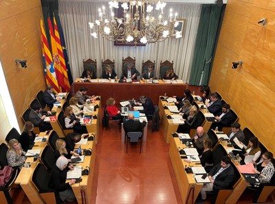 Resum dels acords del Ple de l’Ajuntament de Badalona del 7 d’abril de 2025.