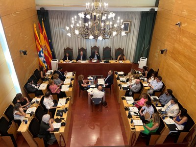 Resum dels acords del Ple extraordinari de l’Ajuntament de Badalona del 23 de juliol.