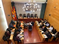 Resum dels acords del Ple extraordinari de l’Ajuntament de Badalona del 24 de febrer de 2025