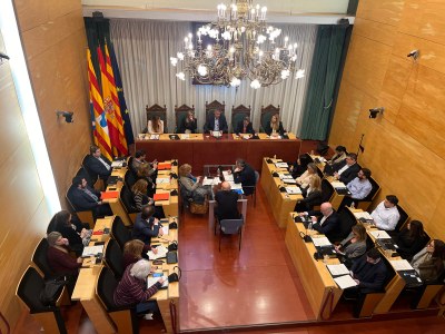 Resum dels acords del Ple extraordinari de l’Ajuntament de Badalona del 24 de febrer de 2025.
