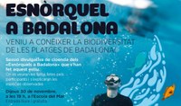 Sessió divulgativa a l’Escola del Mar de la biodiversitat marina observada durant les activitats d’Esnòrquel a Badalona