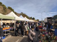 ENCANTS DISSABTE parades.jpg