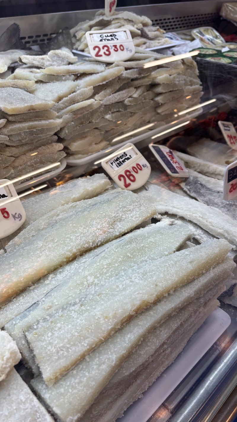 maignon bacalla.jpeg