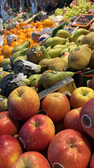 maignon fruita.jpeg.