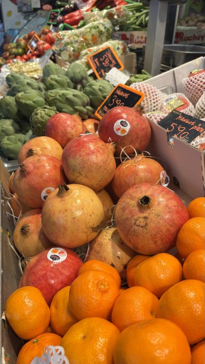 maignon fruita3.jpeg.