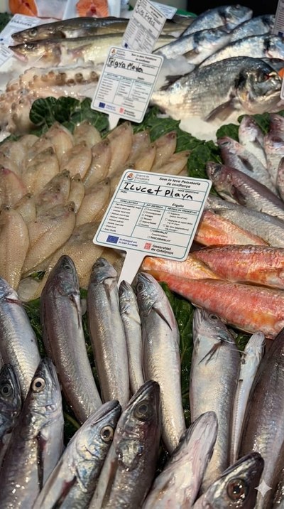 mercat llefia peix.jpeg.
