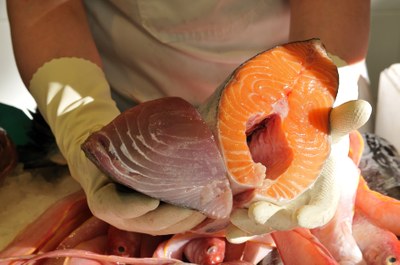 mercat torner peix3.jpg.