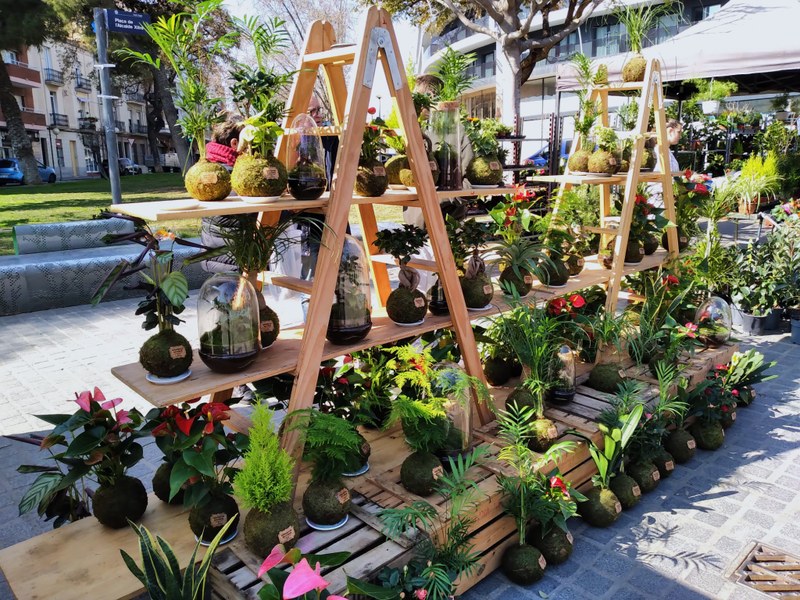 Imagen de WhatsApp 2023-03-04 a las 17.41.42_bfefc22f.jpg