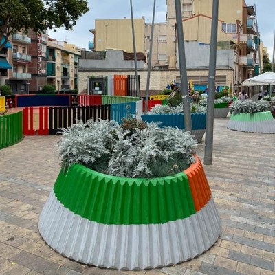 Plantada a les jardineres de la Plaça Antonio Machado.